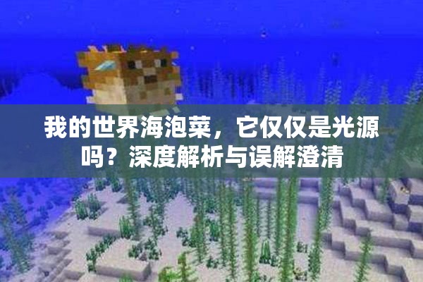 我的世界海泡菜，它仅仅是光源吗？深度解析与误解澄清