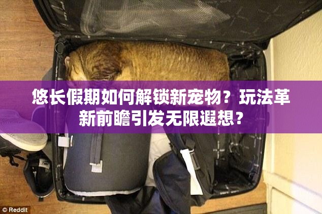 悠长假期如何解锁新宠物？玩法革新前瞻引发无限遐想？