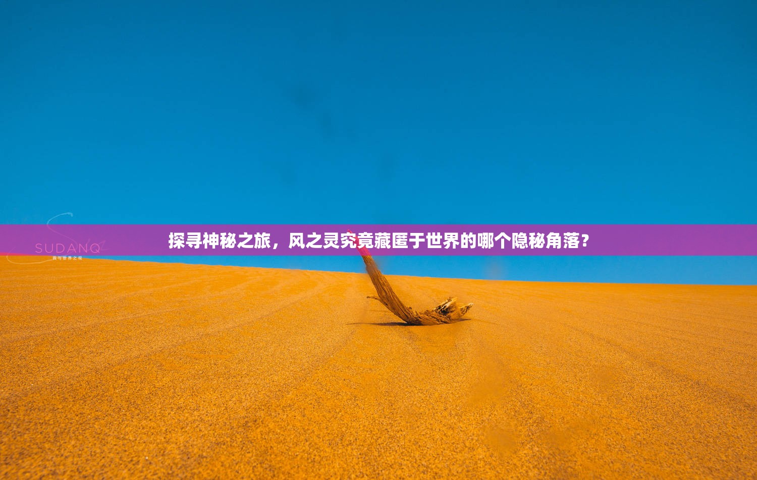 探寻神秘之旅，风之灵究竟藏匿于世界的哪个隐秘角落？