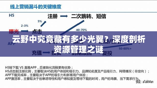 云野中究竟藏有多少光翼？深度剖析资源管理之谜