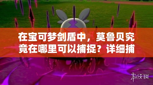 在宝可梦剑盾中，莫鲁贝究竟在哪里可以捕捉？详细捕捉攻略大揭秘